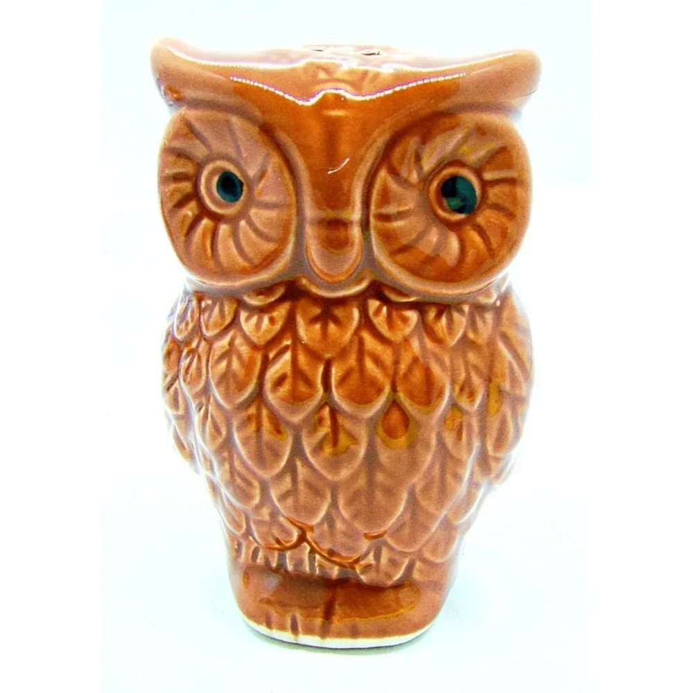 Unbranded Vintage Style Big Eyed Brown Owl Ceramic Salt & Pepper Shakers NWOT